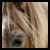 :iconfuroredesigns: