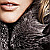 :iconfurrcoat: