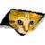 :iconfurret545:
