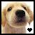 :iconfurrkid: