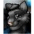 :iconfurry-zero: