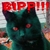 :iconfurrychaos: