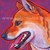 :iconfurryfacedog: