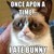 :iconfurryfun111:
