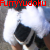 :iconfurryyudoku: