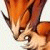 :iconFursome: