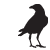 :iconfurthermoredesign: