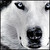 :iconfuryanwolf13: