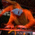 :iconfuse-gftm: