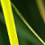 :iconfusion-arch: