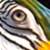 :iconfusk4: