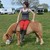 :iconfutonhorse: