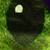 :iconfutsy: