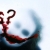 :iconfutszak:
