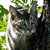 :iconfuturamajsp: