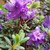 FuturePrime :iconfutureprime: