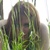 :iconfuturestarvingartist: