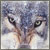 :iconfuyu-kitsune: