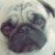 :iconfuzzbatronas: