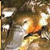 :iconfuzzchile-stock: