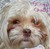 :iconfuzzy-panda-power: