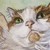 :iconfuzzy-teapot: