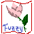 :iconfuzzy22: