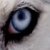 :iconFuzzyFerret07: