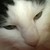 :iconfuzzyfire22: