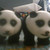 :iconfuzzypandaz:
