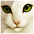 :iconfuzzypantaloons: