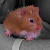 :iconfuzzywerewolfmuffin: