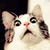 :iconfuzzywuzzums: