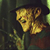 :iconfvjc-slasher-club: