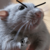 :iconfyanni: