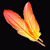 :iconFyrebird: