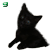 :icong0t1c4: