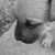 :icong2a732648:
