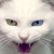 :icong3tfunk: