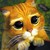 :icong-o-l-d-e-n-sparrow: