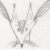 :iconG-PAW: