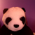 :icongaarita:
