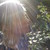 :icongab-in-wonderland: