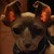 :icongabbitrabbit: