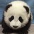 :icongabbyw97: