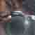 :icongabriel1110: