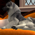 :icongabryxxglam:
