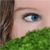 :iconGagalogi: