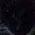 :icongain-chan: