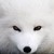 :icongaingbmt: